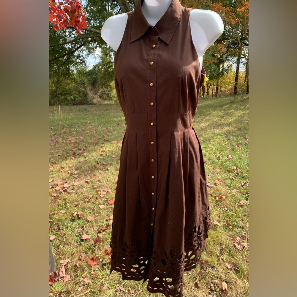 Cheeta B Brown Collared Button Up Dress